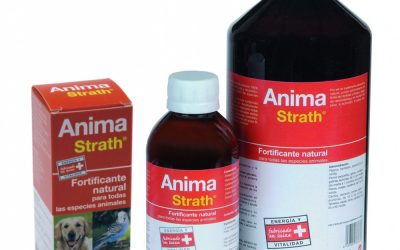 Anima-Strath